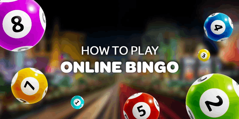 Bingo Casinos 